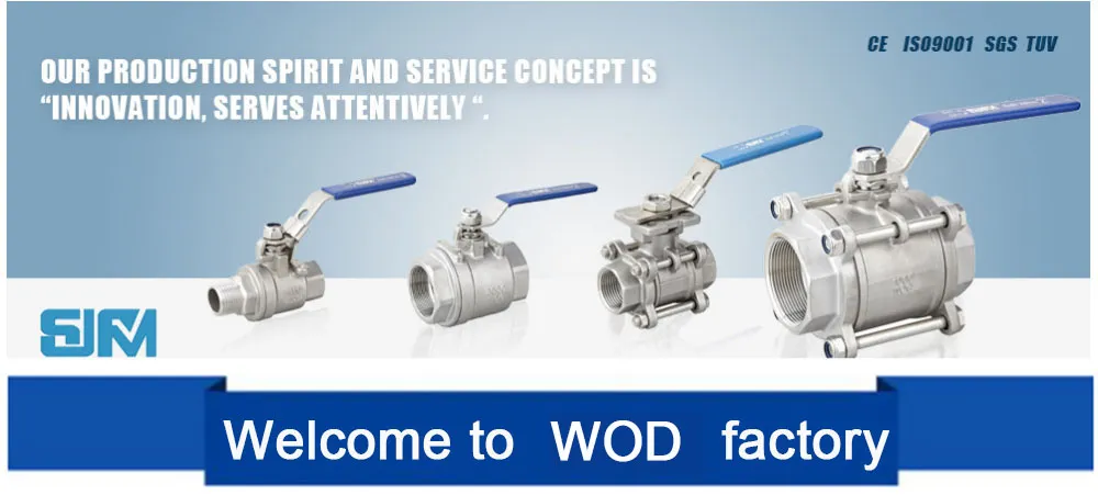 2inch Stainless Steel Gate Valve