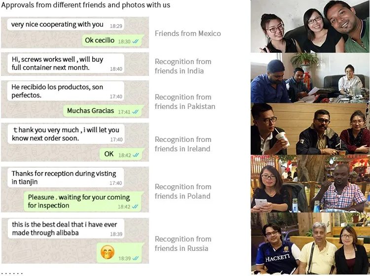 3.5X25 Black Coarse Thread Drywall Screws with 1022A Material