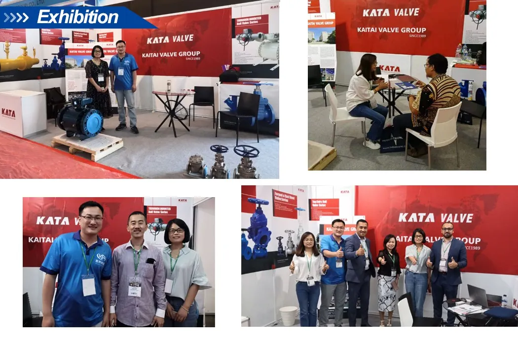 API594 2" to 54"150lb Wcb Body Wafer Type Dual Plate Check Valve