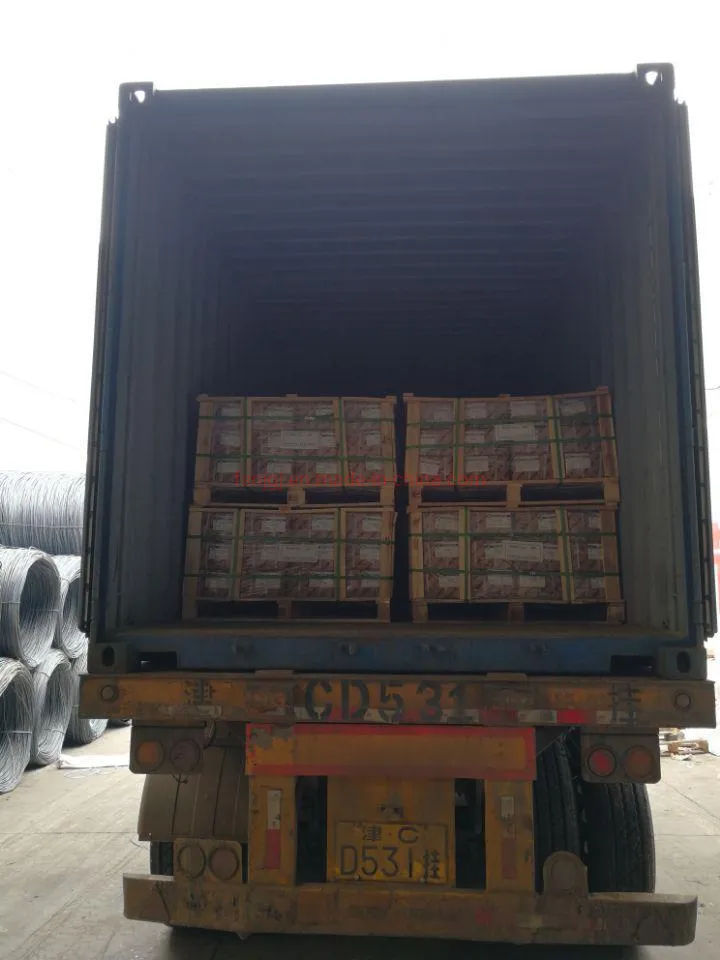 Factory Supply Heavy Duty 4PCS Shield Anchor with Grade 4.8-12.9 (M6*50/M8*60/M10*70/M12*90)