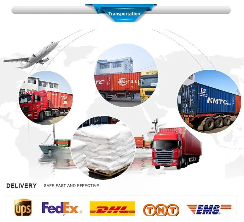 Floating Type Mounting Pad NPT BSPT F304 F316 3PCS Motorized Ball Valve