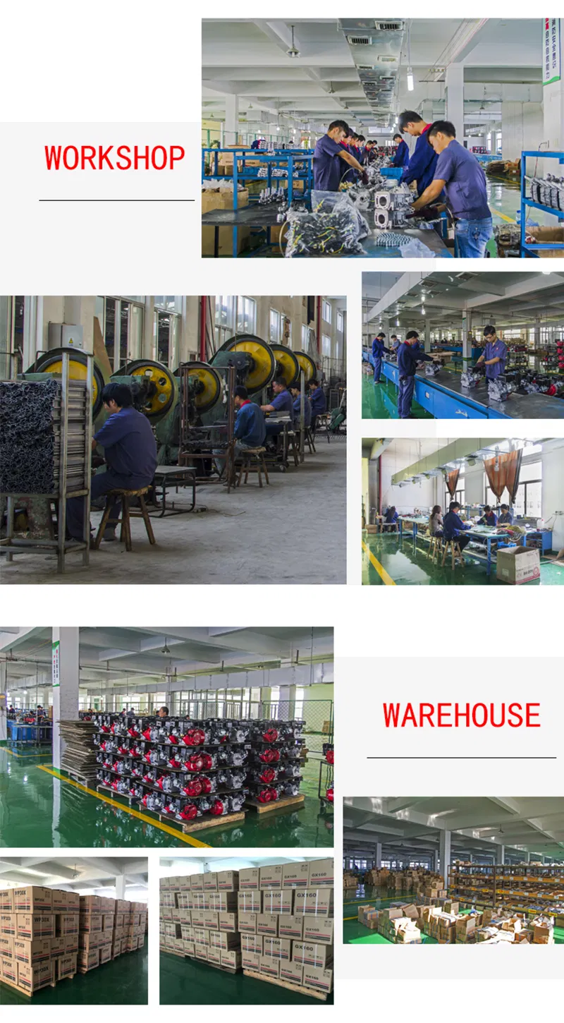 Genour Power Gasoline Generator 5.5HP Petrol Generator, 5.5HP Generator