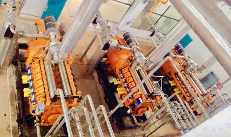 High Quality Biogas/Nature Gas Generator