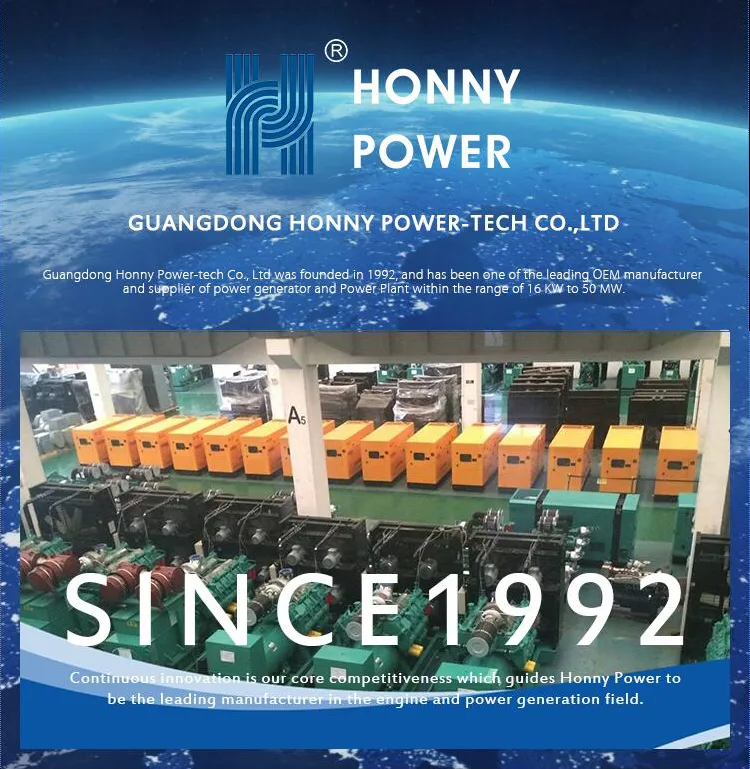 Honny Dual Fuel Generators with 30% Diesel Fuel, 70% Nature Gas