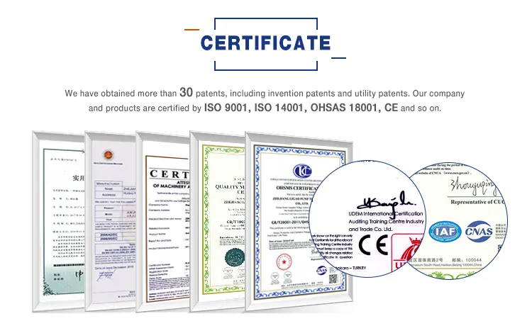 Jlm Swimming Pool Electric Chlorine Dosing Pump