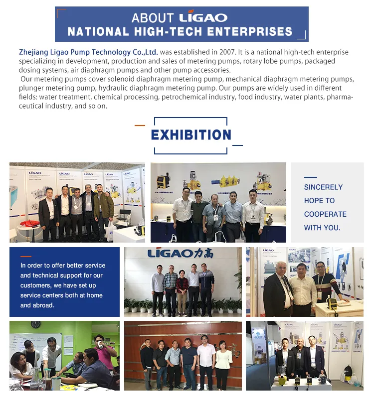 Jlm Swimming Pool Electric Chlorine Dosing Pump