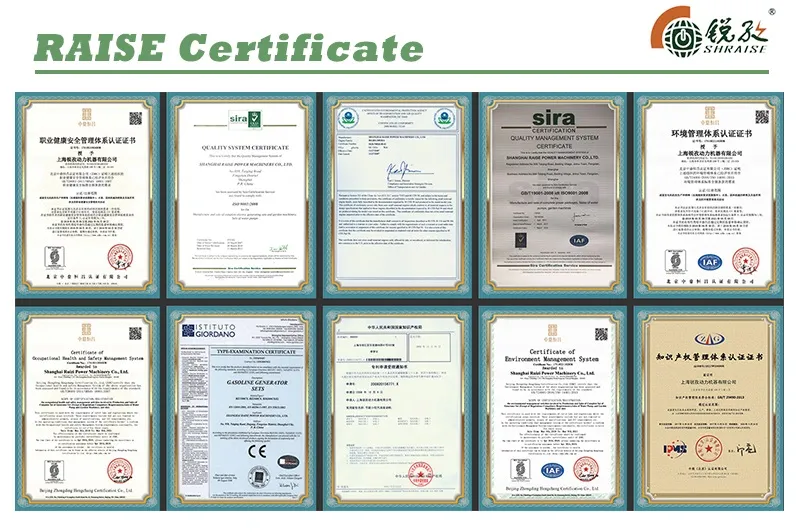 Raise 5kw Gasoline Power Generator Welding Machine Dual-Purpose Unit Gasoline Welding Generator Prices