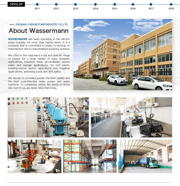 Self Priming Domestic Peripheral Pump