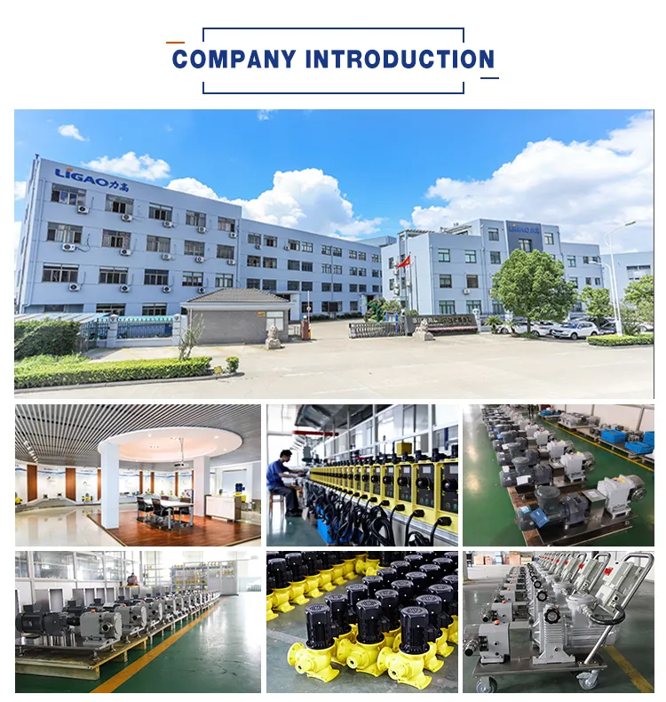 Solenoid Metering Dosing Pumps