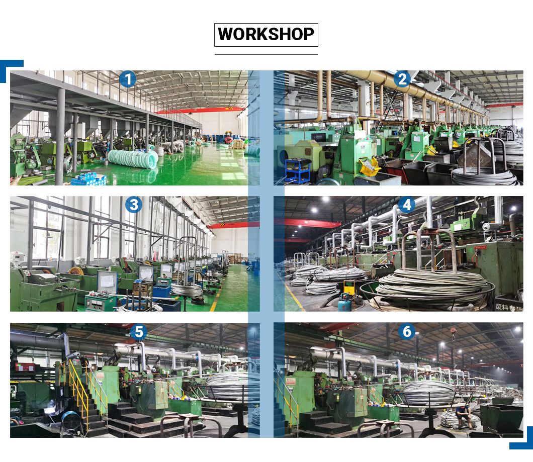 Stainless Steel SS304 DIN6923 Hex Nuts Head Hexagonal Flange Nut