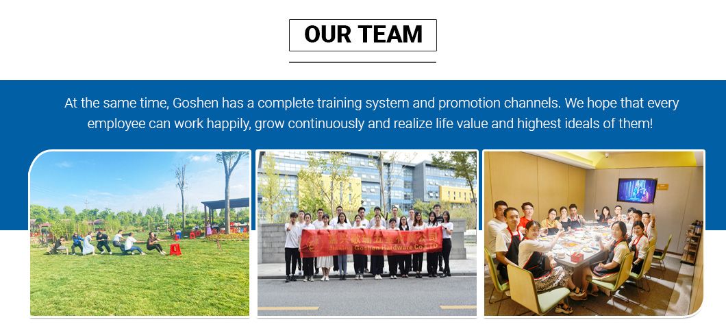 Stainless Steel SS304 DIN6923 Hex Nuts Head Hexagonal Flange Nut