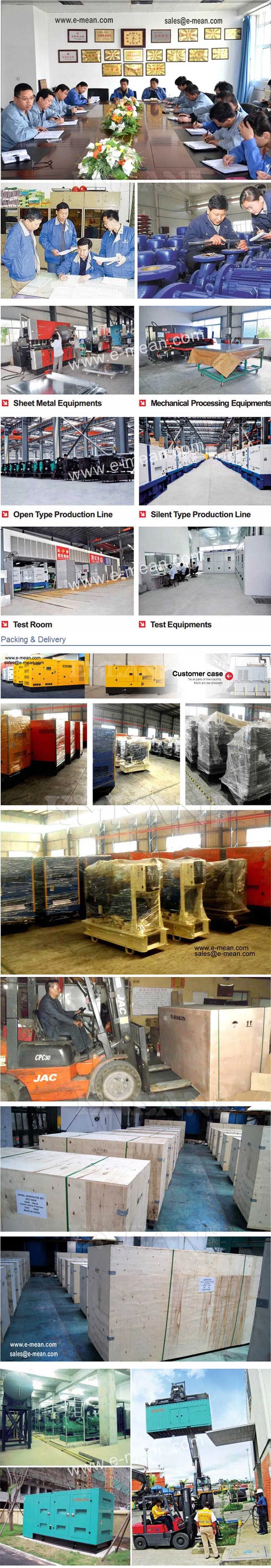 Stanford Alternater Excellent Diesel Generator with Canopy