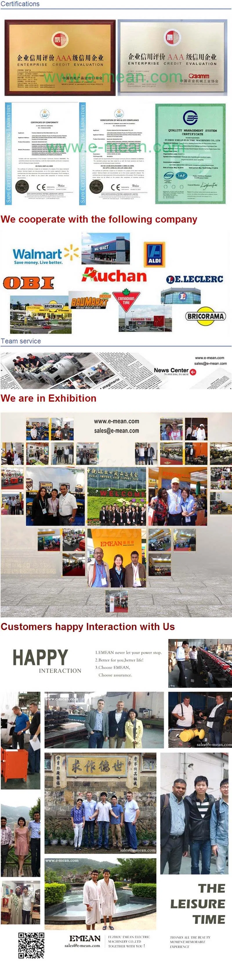 Stanford Alternater Excellent Diesel Generator with Canopy